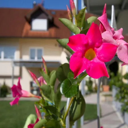 Obst- Und Witzigmann Appartement